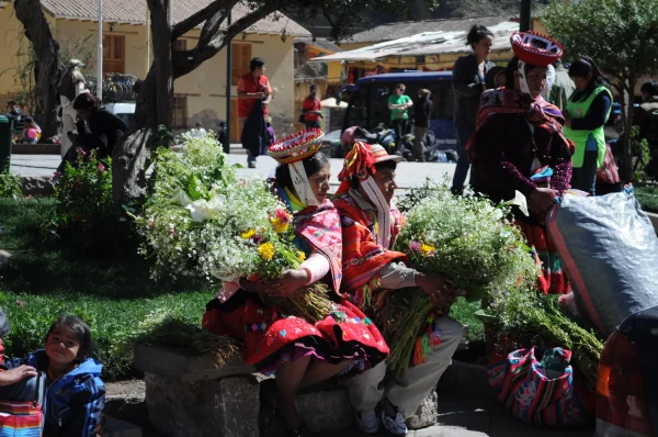 Machu Picchu and Jungle Cruise - Luxury Departure - Image 4